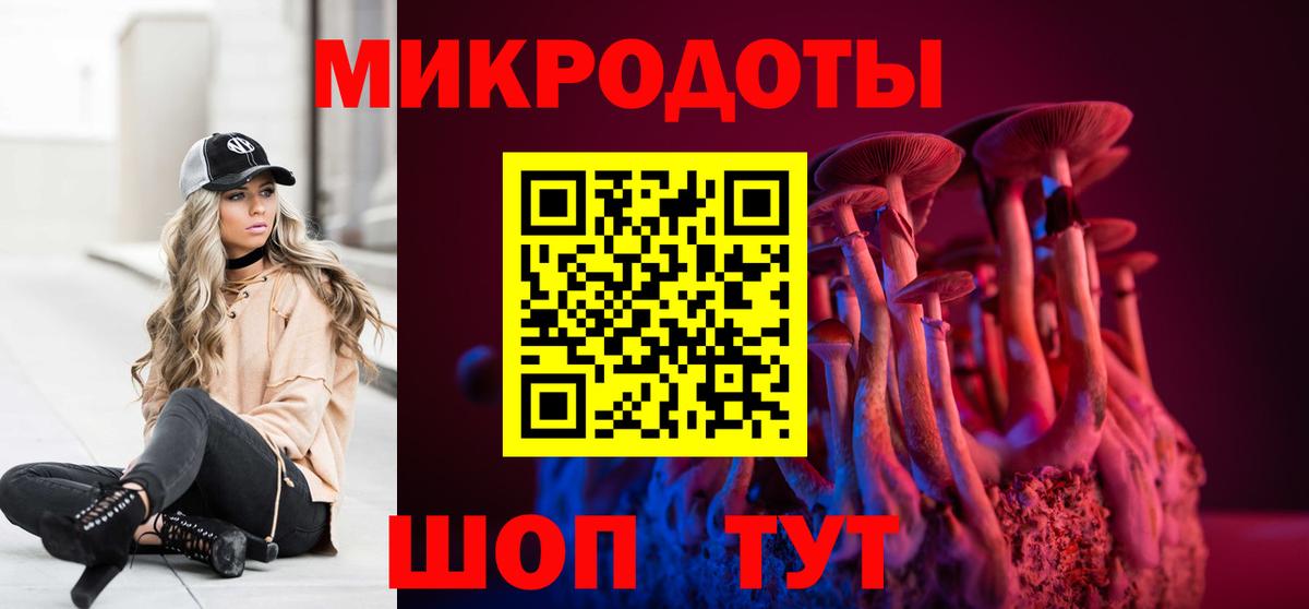 как найти   Псилоцибиновые грибы MAGIC MUSHROOMS  Вход с VPN  Кашира 